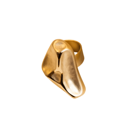 Anel Orgânico Fosco Ouro